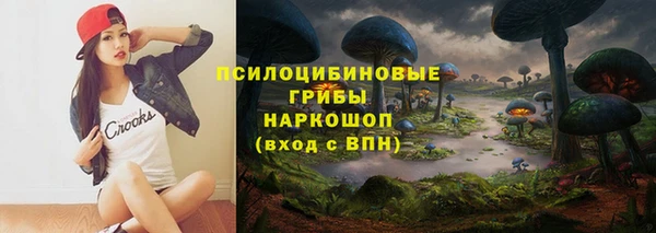 mix Касимов