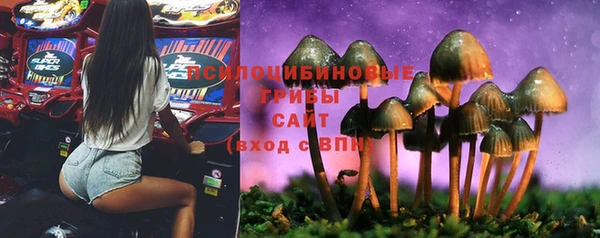 МДПВ Киренск