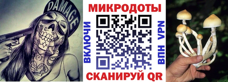 Псилоцибиновые грибы Psilocybine cubensis  цена   Княгинино 